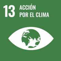 S-WEB-Goal-13